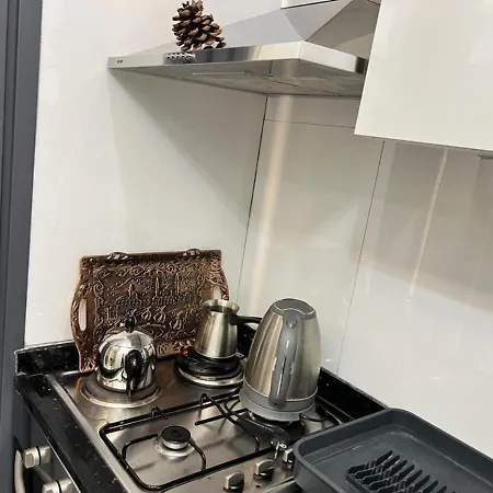 Apartman Deluxe Golden Horn *
